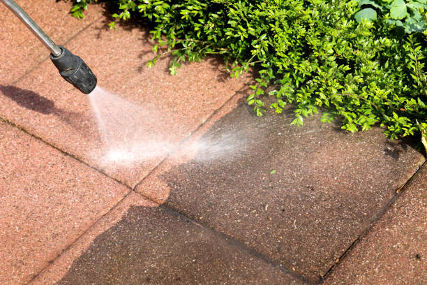 Best Exterior Home Cleaning  in South Apopka, FL